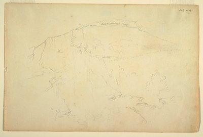 Wooded Hillside, Catskill Mountains, July 1844 by Frederic Edwin Church